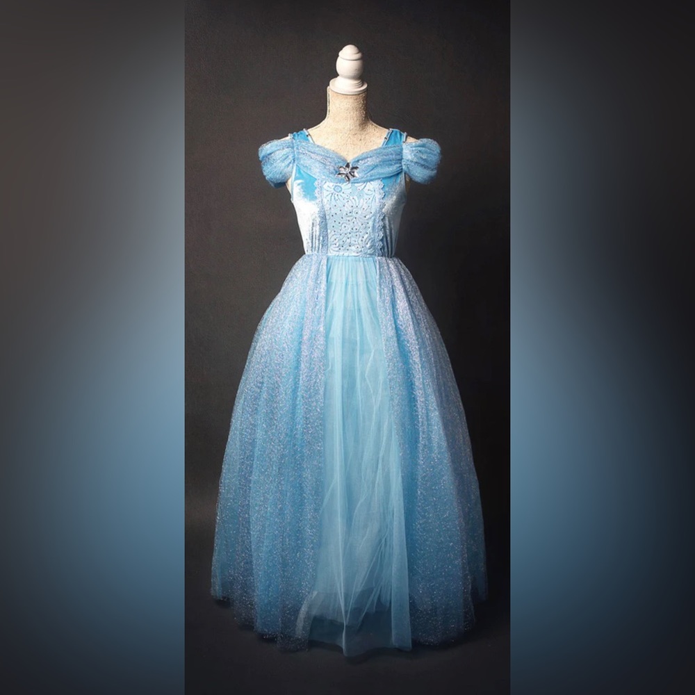 “Cinderella” Womens costume